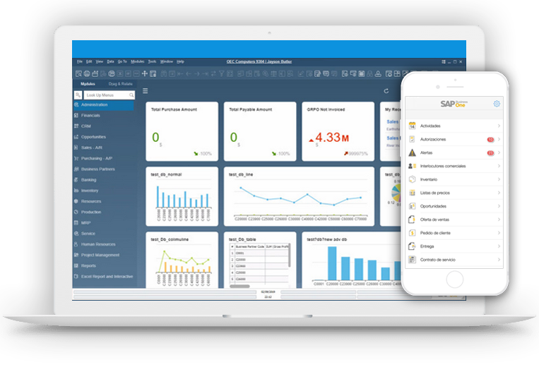 sap business one dispositivos